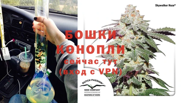 прущая мука Богданович